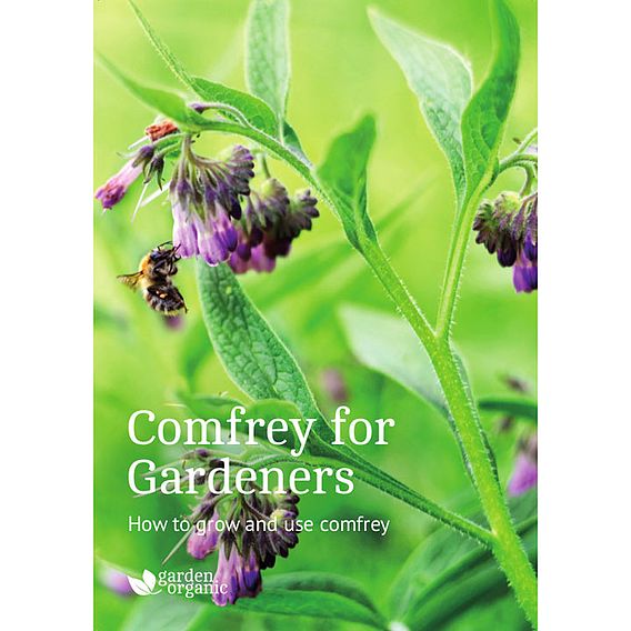 Step by Step Guide - Comfrey For Gardeners
