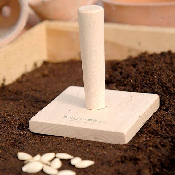 Beech Seed Tray Tamper - Square