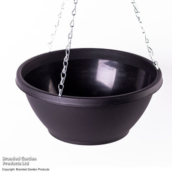 25cm Plastic Hanging Basket