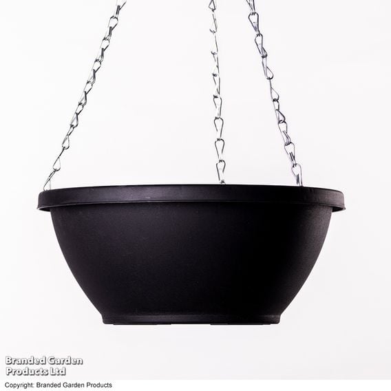 25cm Plastic Hanging Basket