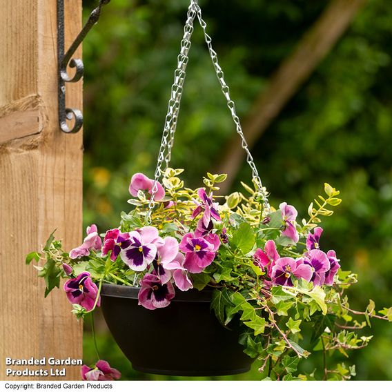 25cm Plastic Hanging Basket