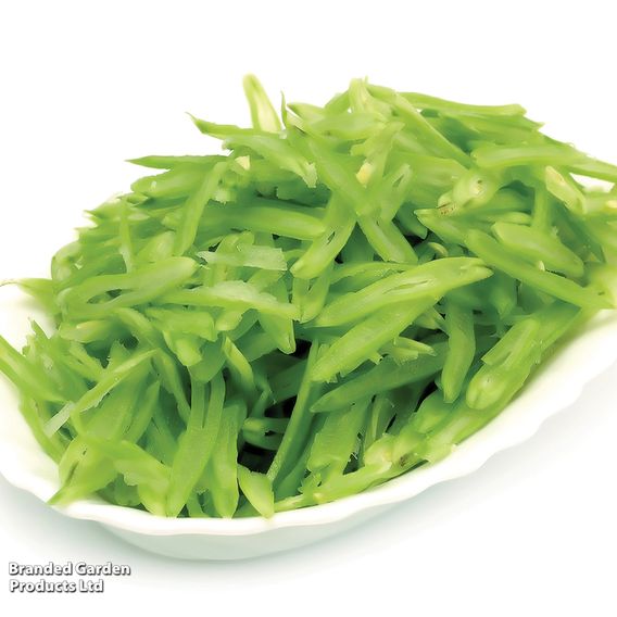 Climbing French Bean 'Cobra' - Organic Seeds