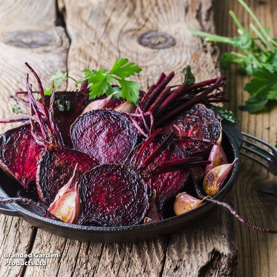 Beetroot 'Detroit 2 Bolivar' - Organic Seeds
