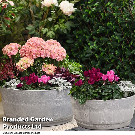 Garden Gear - Caesar Marble Effect Bowl Planter