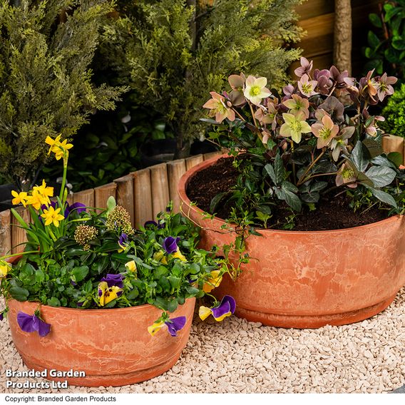 Caesar Marble Effect Terracotta Bowl Planters