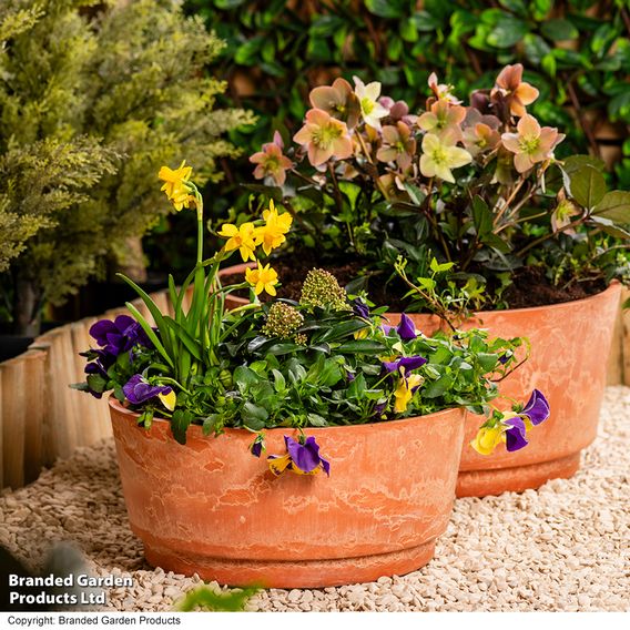 Caesar Marble Effect Terracotta Bowl Planters