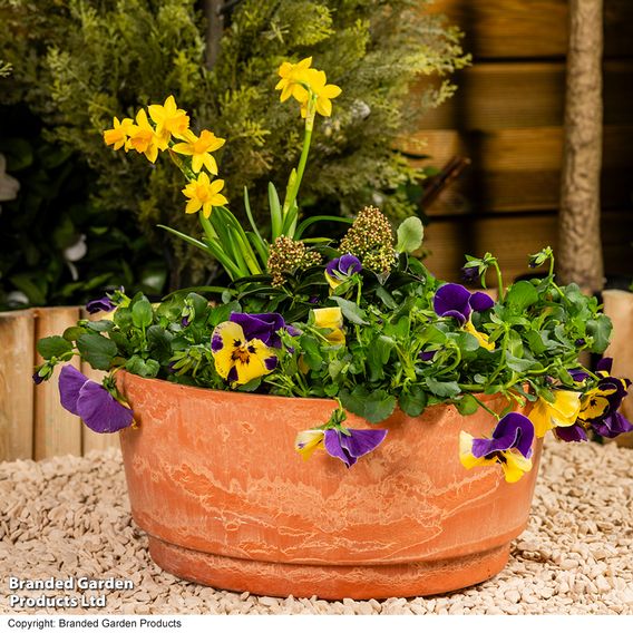 Caesar Marble Effect Terracotta Bowl Planters