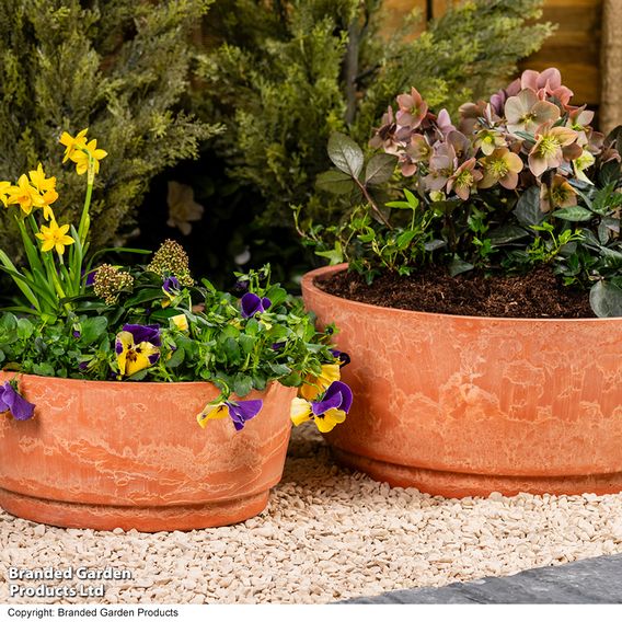 Caesar Marble Effect Terracotta Bowl Planters