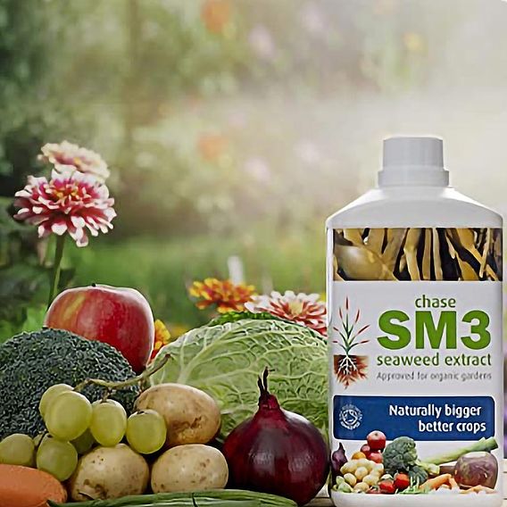 Chase SM3 Seaweed Extract