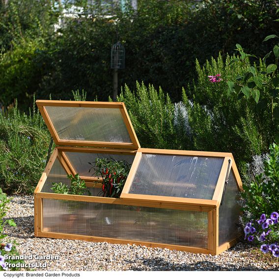Garden Gear XL Wooden Cold Frame