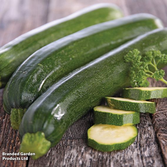 Courgette 'Zucchini' - Organic Seeds