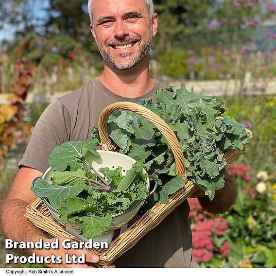 Kale 'Cottager's' - Seeds