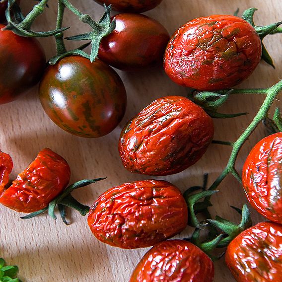 Tomato Sundried Red Desire