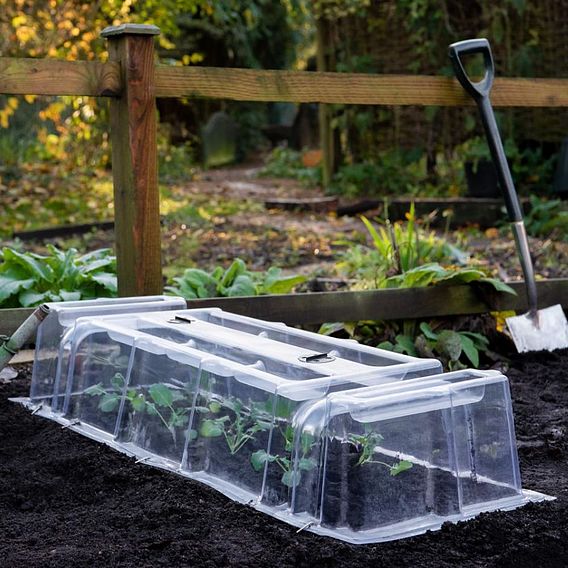 Mini Greenhouse Cloche