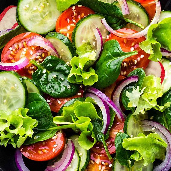 Lettuce Plants - Little Gem
