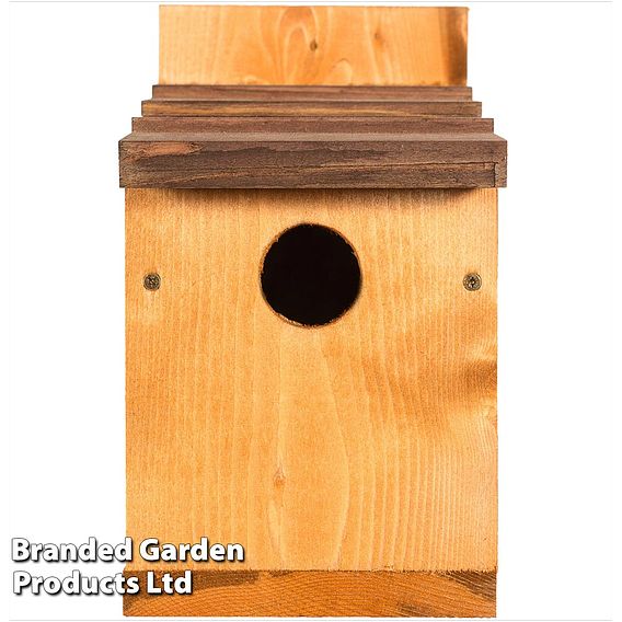 Classic Nest Box with Shingle Roof