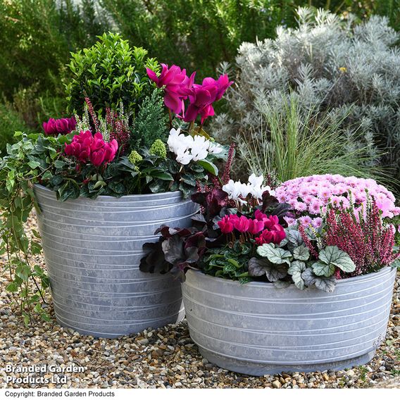 Garden Gear - Caesar Trinity Marble Effect Planter