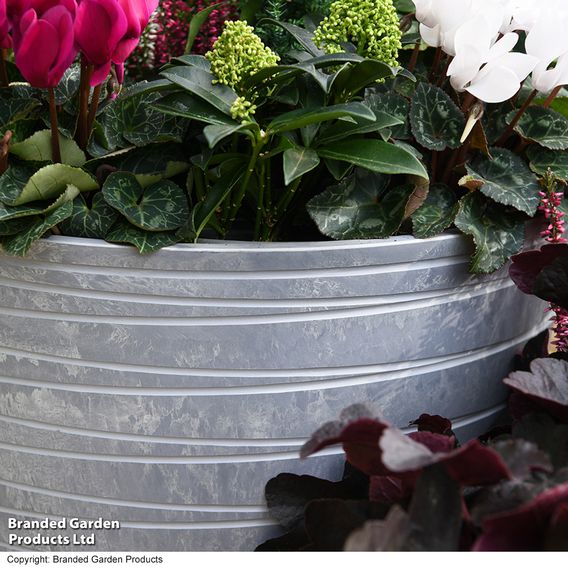 Garden Gear - Caesar Trinity Marble Effect Planter