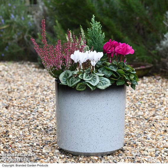Garden Gear - Slate/Black Glazed Cylinder Planter