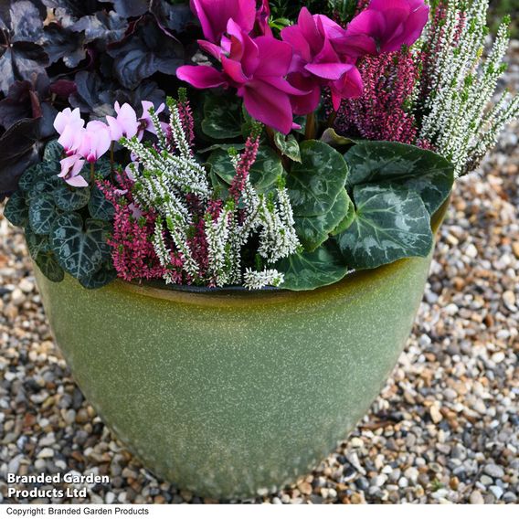 Garden Gear - Sage Green Bell Glazed Planter
