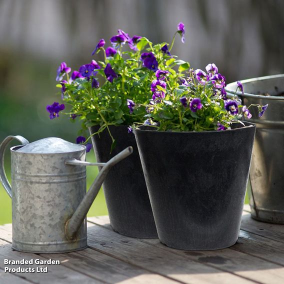 Octavia Slate Garden Planters