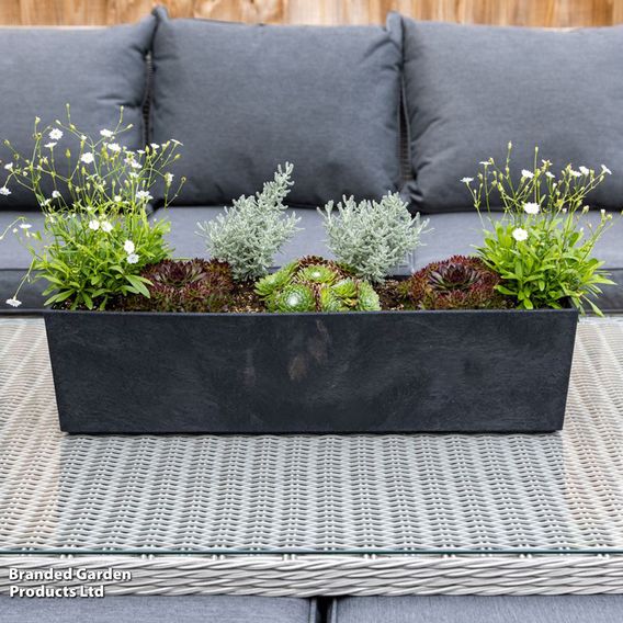 Sonata Slate Trough Planter