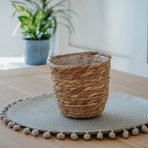 Osaka Straw Basket House Plant Pots