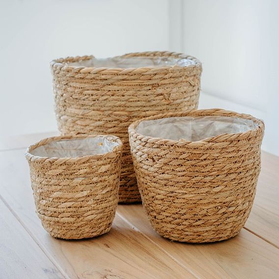 Osaka Straw Basket House Plant Pots