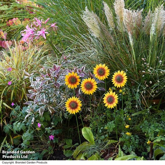 Garden Gear - Metal Sunflower Stakes