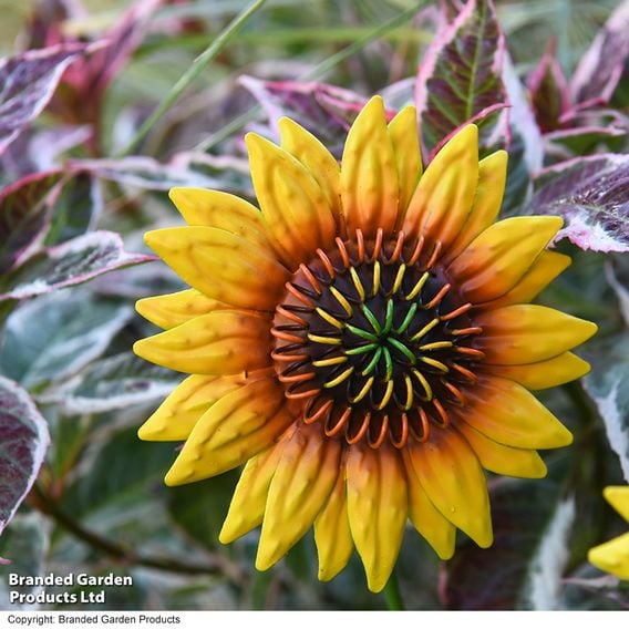 Garden Gear - Metal Sunflower Stakes