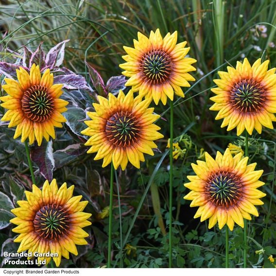 Garden Gear - Metal Sunflower Stakes
