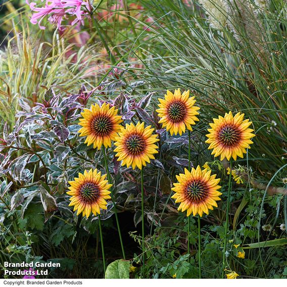 Garden Gear - Metal Sunflower Stakes