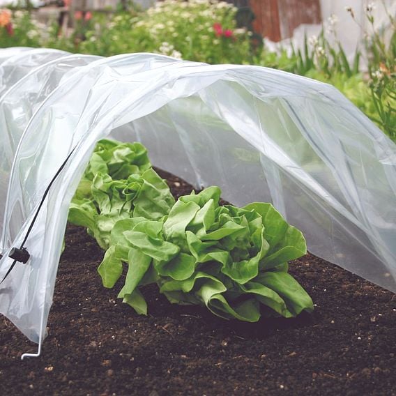 Easy Polytunnel