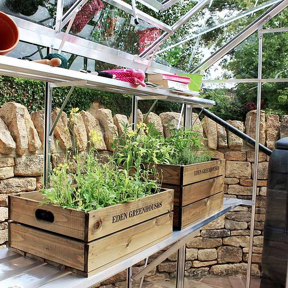 Eden Burford Greenhouse