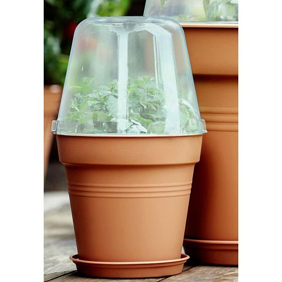 Terracotta Effect Grow Pot + Bell Cover + Saucer