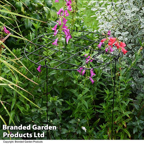 Round Grow Through Grid Support