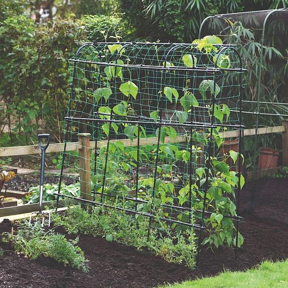 Garden Gear Pea & Bean Tunnel 1.8 x 1.8m