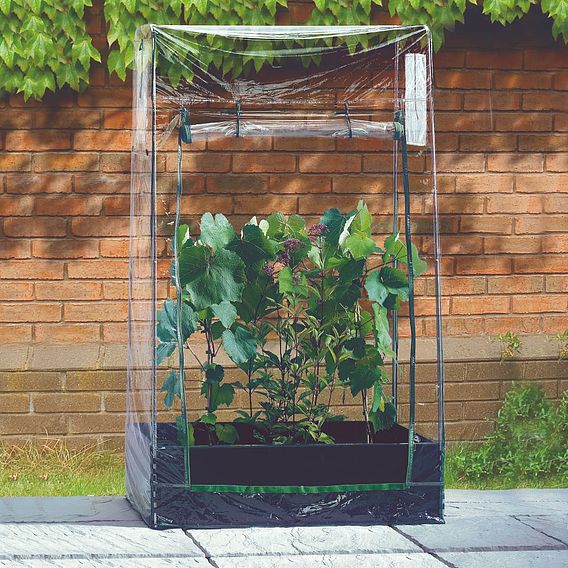 Mini Raised Bed Kit and Crop Support Frame
