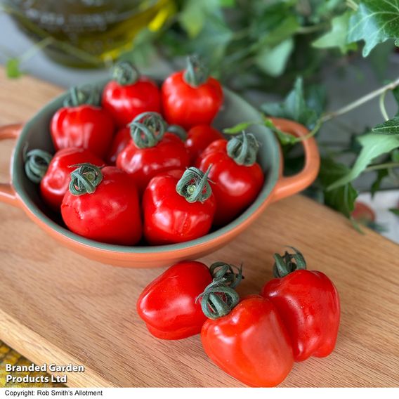Tomato 'Appleberry Bright Red'