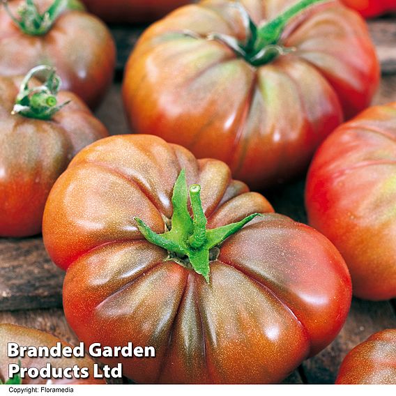 Tomato 'Noire De Crimee' (Organic) Seeds