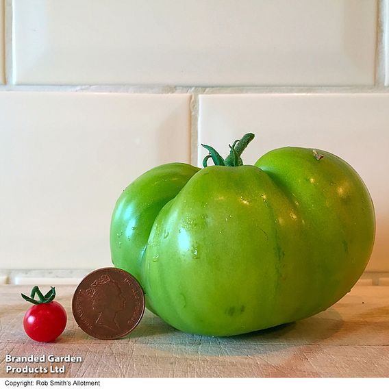 Tomato 'Red Marble' - Organic Seeds