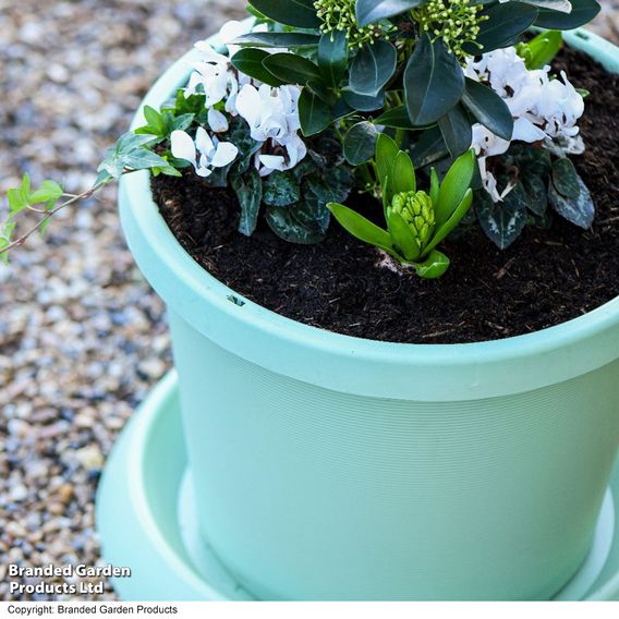 Garden Gear - Pistachio Green Flowerpot with Saucer