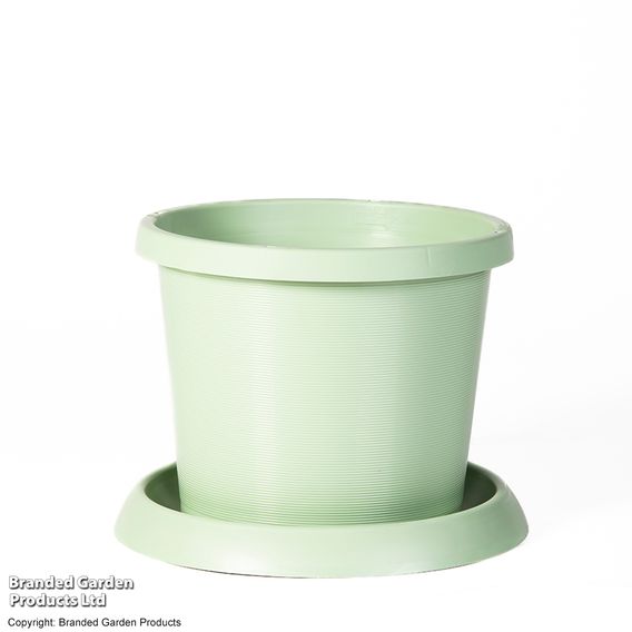 Pistachio Green Tower Pot