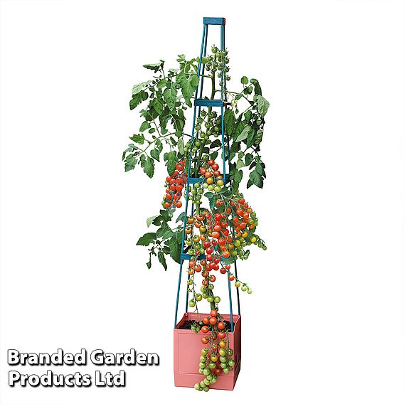 Garden Grow Self Watering Tomato Tower