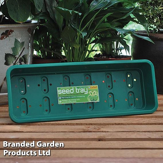 Windowsill Seed Trays and Propagator Lids