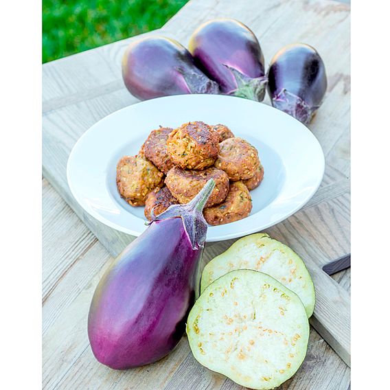 Aubergine 'Meatball' (Grafted)