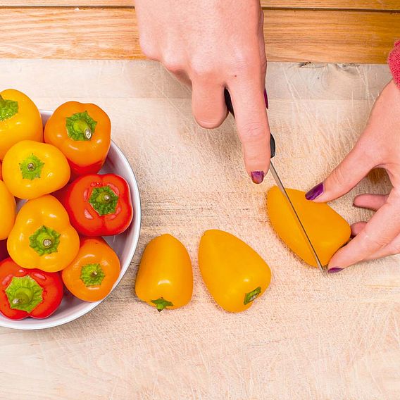 Pepper 'Snackbite' (Mini Pepper) - Seeds