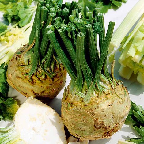 Celeriac Seeds - Brilliant