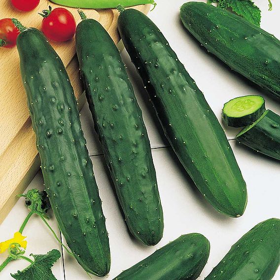 Cucumber (Organic) Seeds - Marketmore