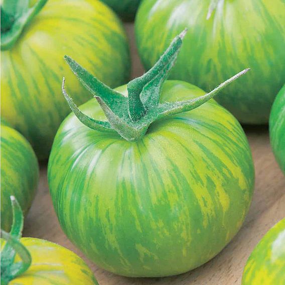 Tomato (Organic) Seeds - Green Zebra (Indeterminate)